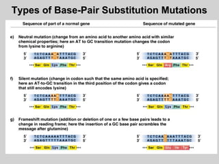 Types of Base-Pair Substitution MutationsTypes of Base-Pair Substitution Mutations
 