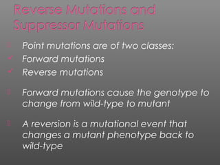  Point mutations are of two classes:
 Forward mutations
 Reverse mutations
 Forward mutations cause the genotype to
change from wild-type to mutant
 A reversion is a mutational event that
changes a mutant phenotype back to
wild-type
 