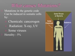  Mutations in the genetic code
Can be induced in somatic cells
by:
› Chemicals: cancerogen
› Radiation: X-ray, UV
› Some viruses
 Heredity - 5%
 