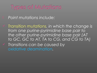  Point mutations include:
 Transition mutations, in which the change is
from one purine-pyrimidine base pair to
the other purine-pyrimidine base pair (AT
to GC, GC to AT, TA to CG, and CG to TA)
 Transitions can be caused by
oxidative deamination.
 