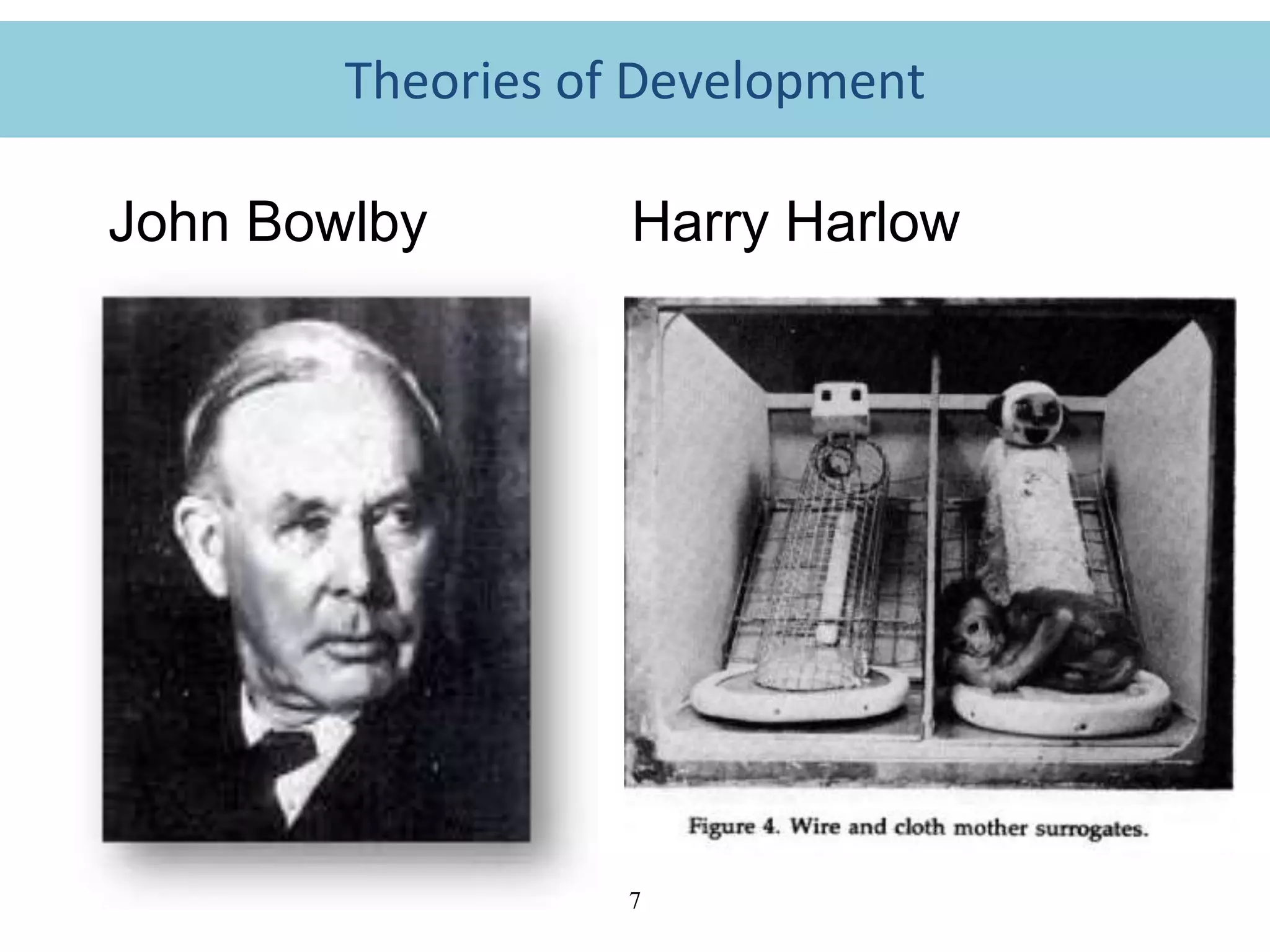 7
John Bowlby Harry Harlow
Theories of Development
 