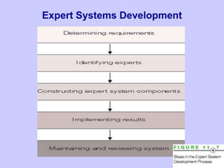 Expert Systems Development
 