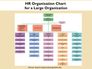 HR Organization Chart
for a Large Organization
Source: www.hr.wayne.edu/orgcharts.php.
 