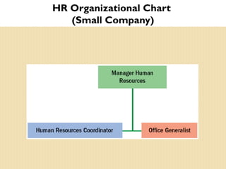 HR Organizational Chart
(Small Company)
 