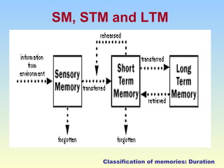 SM, STM and LTM 
Classification of memories: Duration 
 