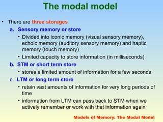 The modal model 
• There are three storages 
a. Sensory memory or store 
• Divided into iconic memory (visual sensory memory), 
echoic memory (auditory sensory memory) and haptic 
memory (touch memory) 
• Limited capacity to store information (in milliseconds) 
b. STM or short term store 
• stores a limited amount of information for a few seconds 
c. LTM or long term store 
• retain vast amounts of information for very long periods of 
time 
• information from LTM can pass back to STM when we 
actively remember or work with that information again 
Models of Memory: The Modal Model 
 