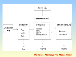Models of Memory: The Modal Model 
 