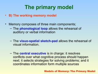 The primary model 
• B) The working memory model 
• Memory composes of three main components; 
– The phonological loop allows the rehearsal of 
auditory or verbal information 
– The visuo-spatial sketch-pad allows the rehearsal of 
visual information. 
– The central executive is in charge: it resolves 
conflicts over what cognitive process should happen 
next; it selects strategies for solving problems; and it 
coordinates information form multiple sources 
Models of Memory: The Primary Model 
 