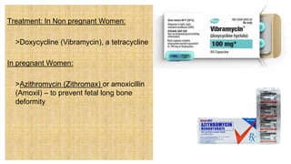 Treatment: In Non pregnant Women:
 >Doxycycline (Vibramycin), a tetracycline
In pregnant Women:
 >Azithromycin (Zithromax) or amoxicillin
(Amoxil) – to prevent fetal long bone
deformity
 