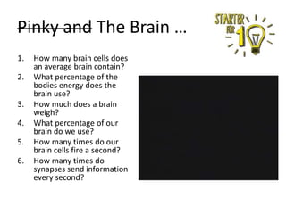 Pinky and The Brain …
1.
2.
3.
4.
5.
6.

How many brain cells does
an average brain contain?
What percentage of the
bodies energy does the
brain use?
How much does a brain
weigh?
What percentage of our
brain do we use?
How many times do our
brain cells fire a second?
How many times do
synapses send information
every second?

 