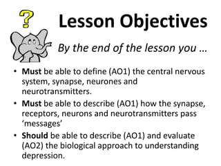 Lesson Objectives
By the end of the lesson you …
• Must be able to define (AO1) the central nervous
system, synapse, neurones and
neurotransmitters.
• Must be able to describe (AO1) how the synapse,
receptors, neurons and neurotransmitters pass
‘messages’
• Should be able to describe (AO1) and evaluate
(AO2) the biological approach to understanding
depression.

 