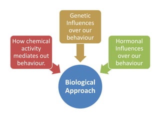 How chemical
activity
mediates out
behaviour.

Genetic
Influences
over our
behaviour

Biological
Approach

Hormonal
Influences
over our
behaviour

 