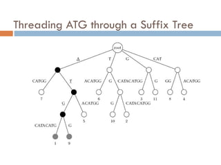 Threading ATG through a Suffix Tree
 