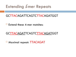 Extending l-mer Repeats
GCTTACAGATTCAGTCTTACAGATGGT
 Extend these 4-mer matches:
GCTTACAGATTCAGTCTTACAGATGGT
 Maximal repeat: TTACAGAT
 
