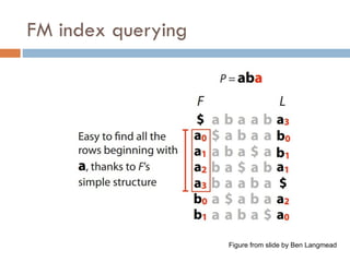 FM index querying
Figure from slide by Ben Langmead
 