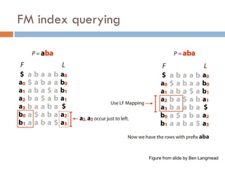 FM index querying
Figure from slide by Ben Langmead
 