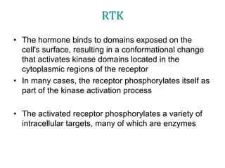 RTK
• The hormone binds to domains exposed on the
cell's surface, resulting in a conformational change
that activates kinase domains located in the
cytoplasmic regions of the receptor
• In many cases, the receptor phosphorylates itself as
part of the kinase activation process
• The activated receptor phosphorylates a variety of
intracellular targets, many of which are enzymes
 