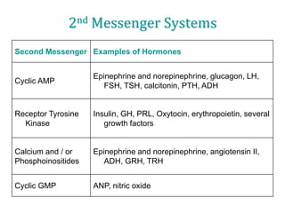 2nd Messenger Systems
Second Messenger Examples of Hormones
Cyclic AMP
Epinephrine and norepinephrine, glucagon, LH,
FSH, TSH, calcitonin, PTH, ADH
Receptor Tyrosine
Kinase
Insulin, GH, PRL, Oxytocin, erythropoietin, several
growth factors
Calcium and / or
Phosphoinositides
Epinephrine and norepinephrine, angiotensin II,
ADH, GRH, TRH
Cyclic GMP ANP, nitric oxide
 