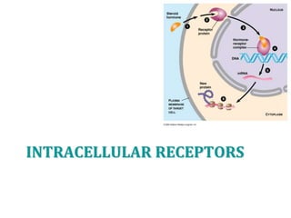INTRACELLULAR RECEPTORS
 
