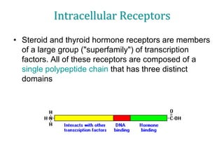 Intracellular Receptors
• Steroid and thyroid hormone receptors are members
of a large group ("superfamily") of transcription
factors. All of these receptors are composed of a
single polypeptide chain that has three distinct
domains
 