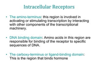 Intracellular Receptors
• The amino-terminus: this region is involved in
activating or stimulating transcription by interacting
with other components of the transcriptional
machinery.
• DNA binding domain: Amino acids in this region are
responsible for binding of the receptor to specific
sequences of DNA.
• The carboxy-terminus or ligand-binding domain:
This is the region that binds hormone
 