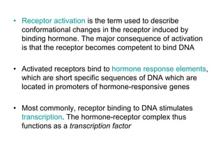 • Receptor activation is the term used to describe
conformational changes in the receptor induced by
binding hormone. The major consequence of activation
is that the receptor becomes competent to bind DNA
• Activated receptors bind to hormone response elements,
which are short specific sequences of DNA which are
located in promoters of hormone-responsive genes
• Most commonly, receptor binding to DNA stimulates
transcription. The hormone-receptor complex thus
functions as a transcription factor
 