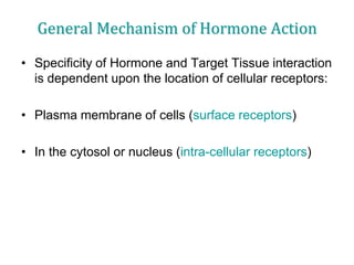 General Mechanism of Hormone Action
• Specificity of Hormone and Target Tissue interaction
is dependent upon the location of cellular receptors:
• Plasma membrane of cells (surface receptors)
• In the cytosol or nucleus (intra-cellular receptors)
 
