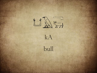 kA bull 