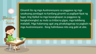Ginamit ito ng mga Austronesyano sa paggawa ng mga
sasakyang pandagat na kanilang ginamit sa paglipat-lipat ng
lugar. Ang tipikal na mga kasangkapan sa paggawa ng
bangka(wangka) ay mula sa tridacna gigas, mga kabibeng
malalaki. Mga halamang ugat ang pinakalaganap na pagkain ng
mga Austronesyano . Ilang halimbawa nito ang gabi at ube.
 