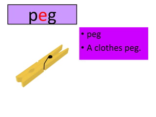pegpegA clothes peg.