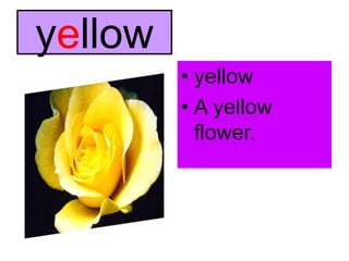 yellowyellowA yellow flower.