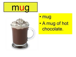 mugmugA mug of hot chocolate.
