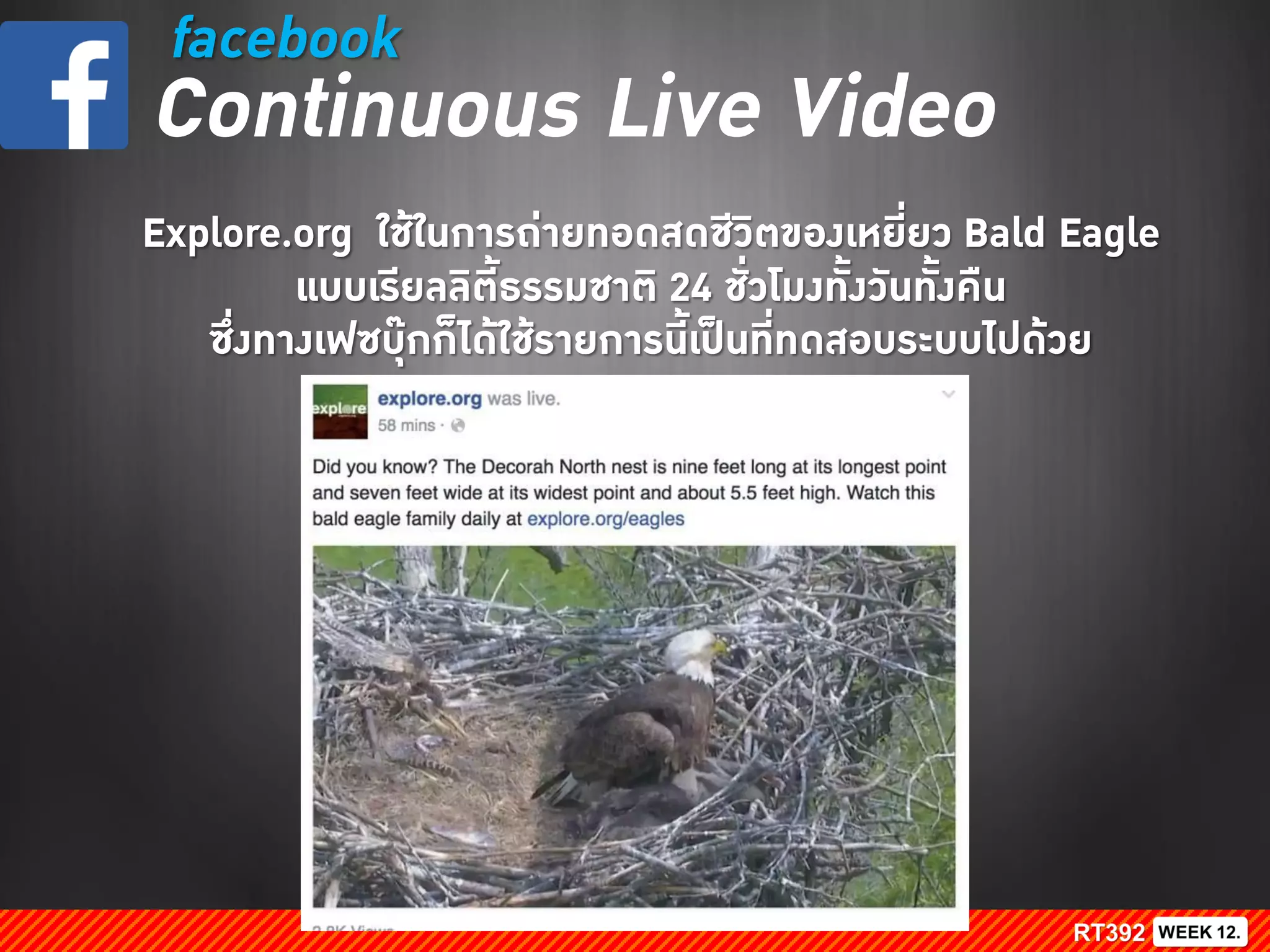 facebook
Continuous Live Video
Explore.org ใช้ในการถ่ายทอดสดชีวิตของเหยี่ยว Bald Eagle
แบบเรียลลิตี้ธรรมชาติ 24 ชั่วโมงทั้งวันทั้งคืน
ซึ่งทางเฟซบุ๊กก็ได้ใช้รายการนี้เป็นที่ทดสอบระบบไปด้วย
 