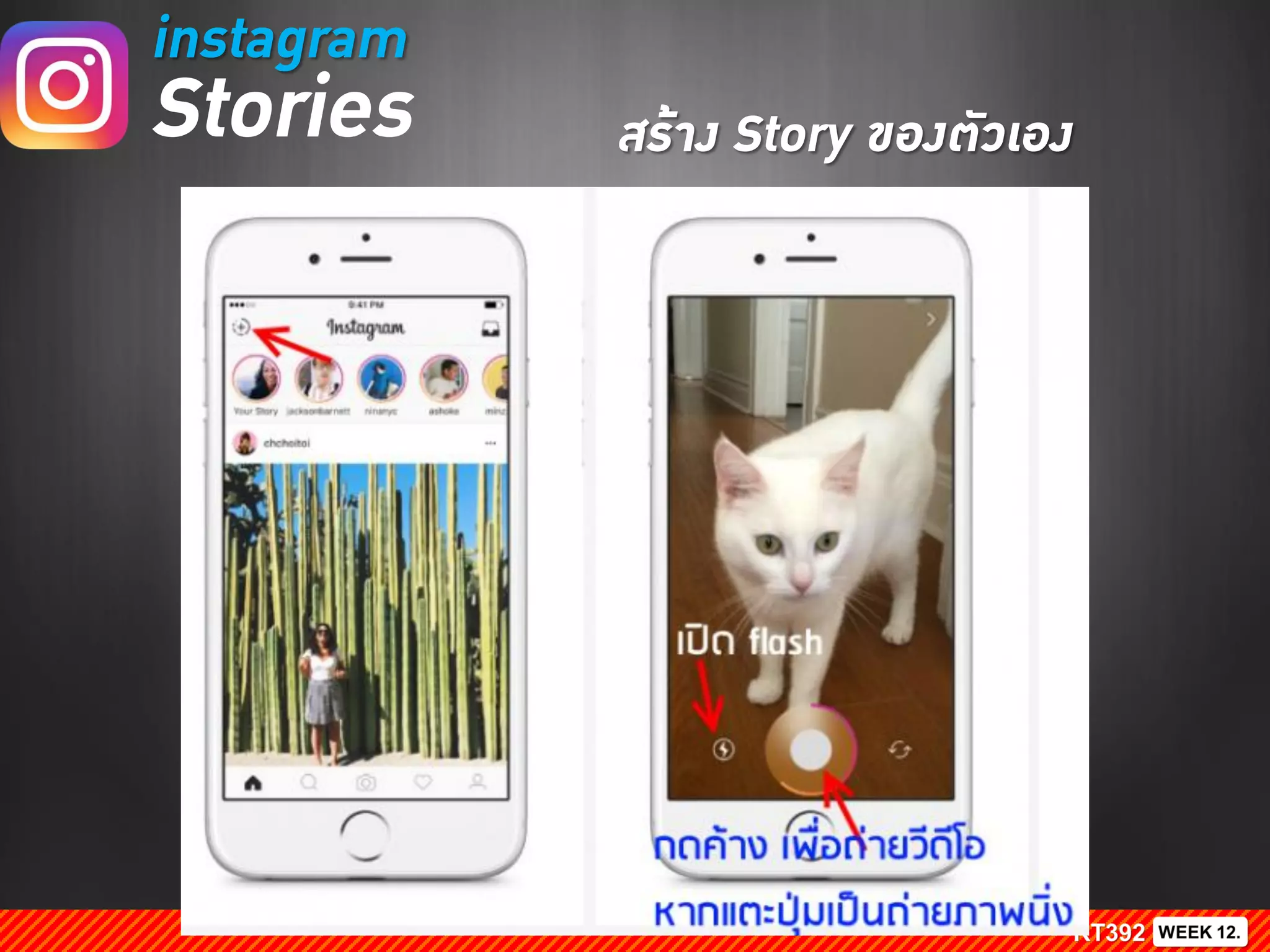 instagram
Stories สร้าง Story ของตัวเอง
 