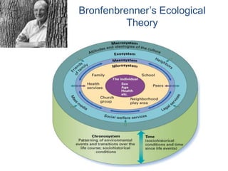 34
Bronfenbrenner’s Ecological
Theory
 