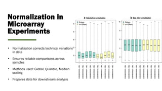 Week 12_ Microarray _ Structural Bioinformatics.pptx