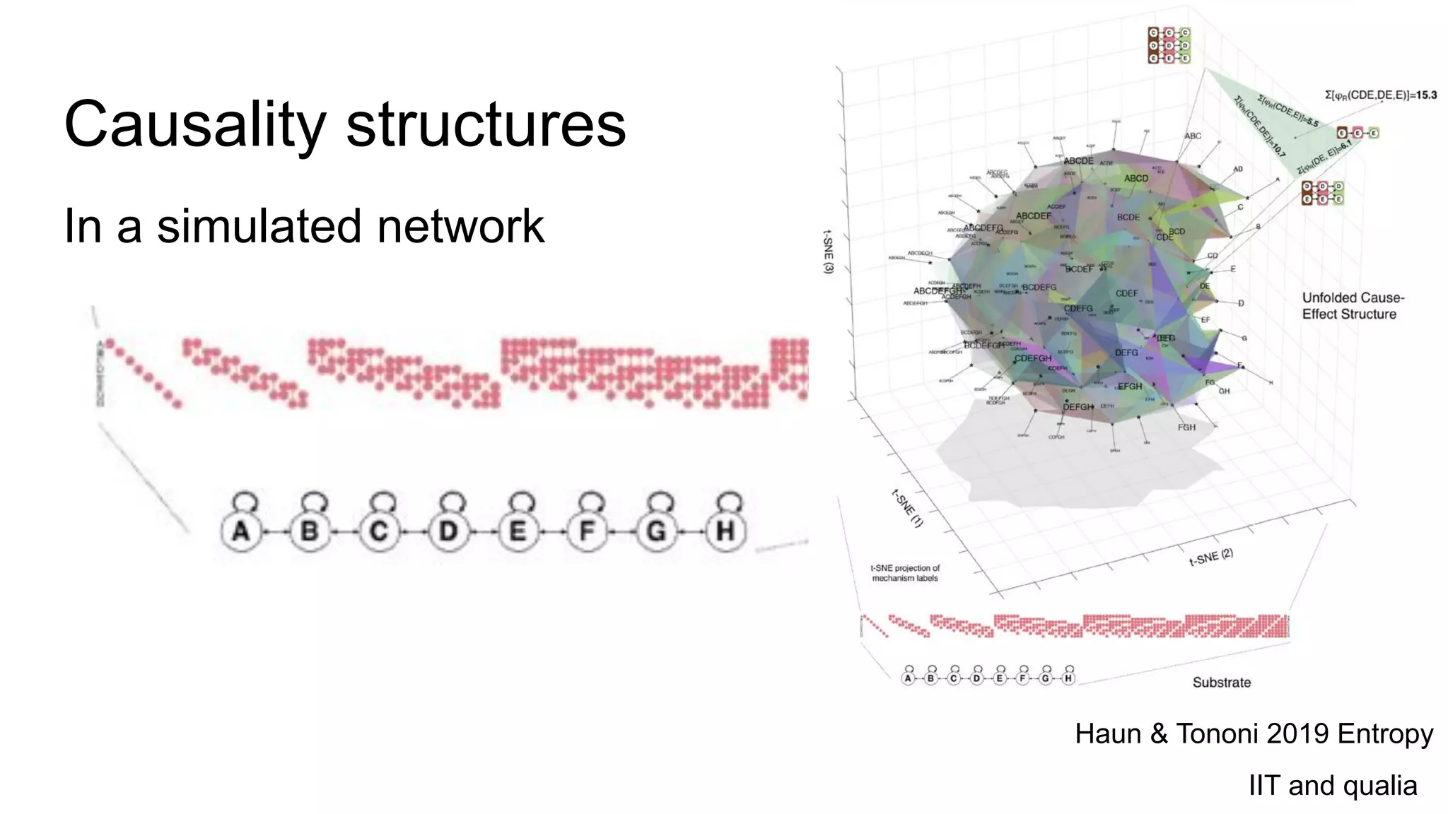Causality structures
In a simulated network
Haun & Tononi 2019 Entropy
IIT and qualia
 