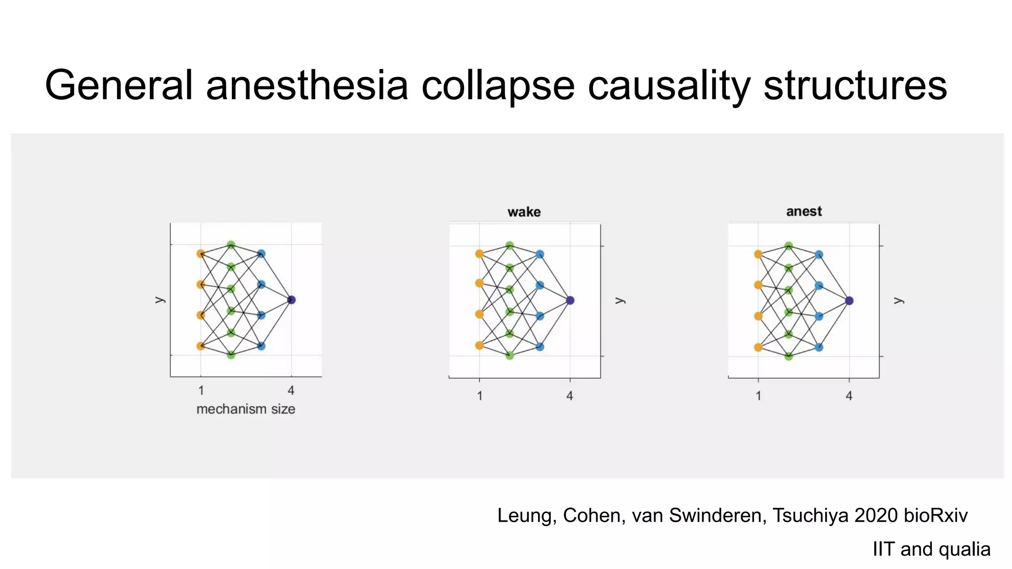 General anesthesia collapse causality structures
IIT and qualia
Leung, Cohen, van Swinderen, Tsuchiya 2020 bioRxiv
 