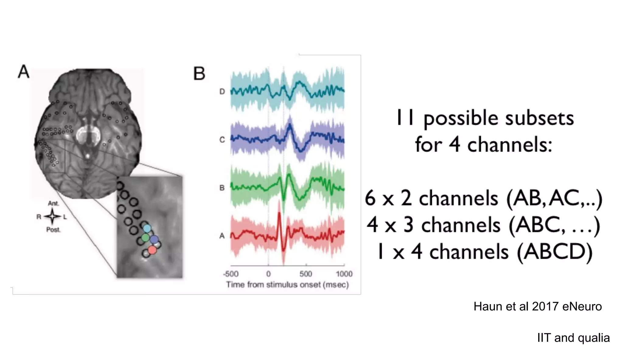Haun et al 2017 eNeuro
IIT and qualia
 