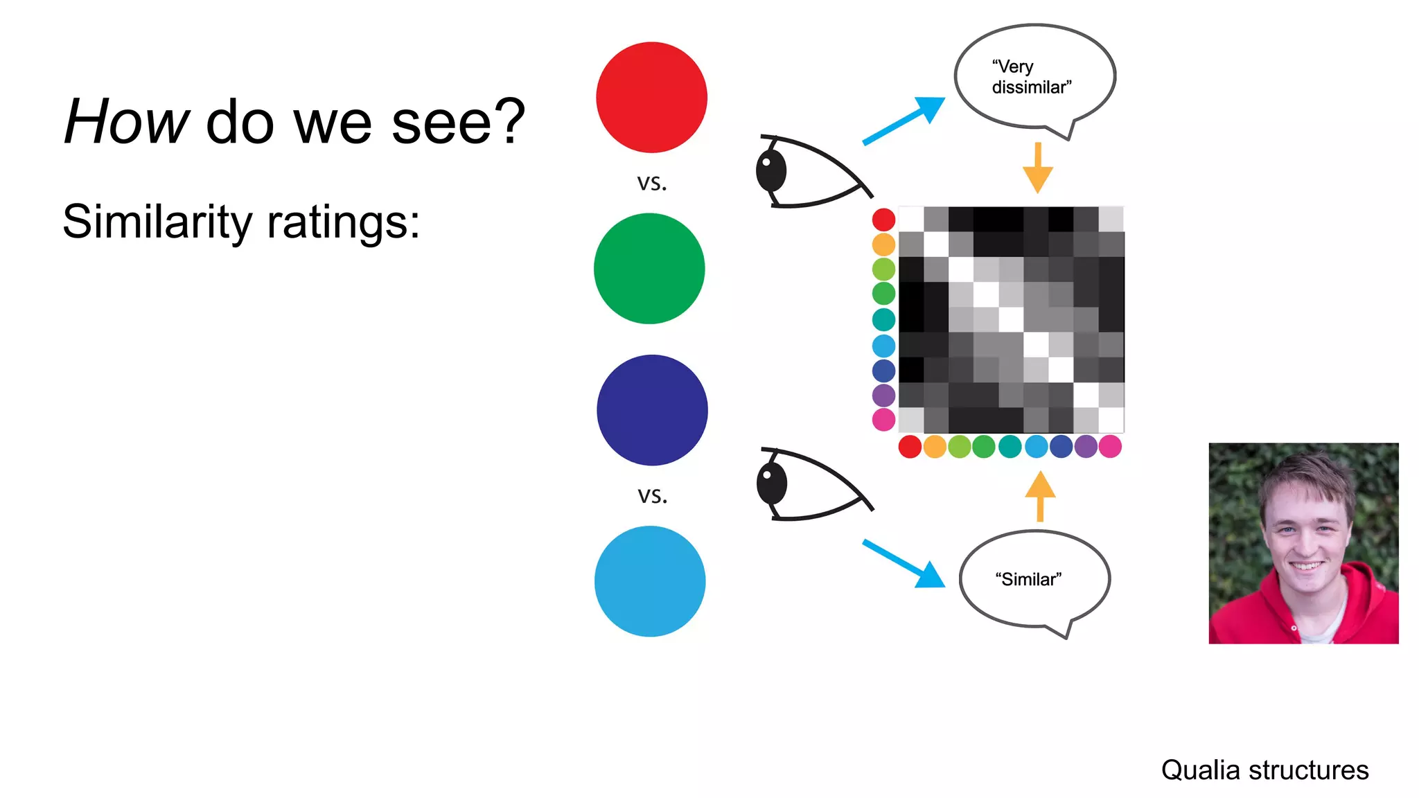 How do we see?
Similarity ratings:
“Similar”
“Very
dissimilar”
Qualia structures
 