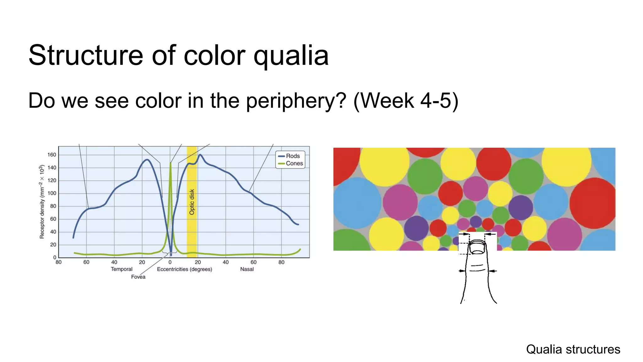 Structure of color qualia
Do we see color in the periphery? (Week 4-5)
Qualia structures
 