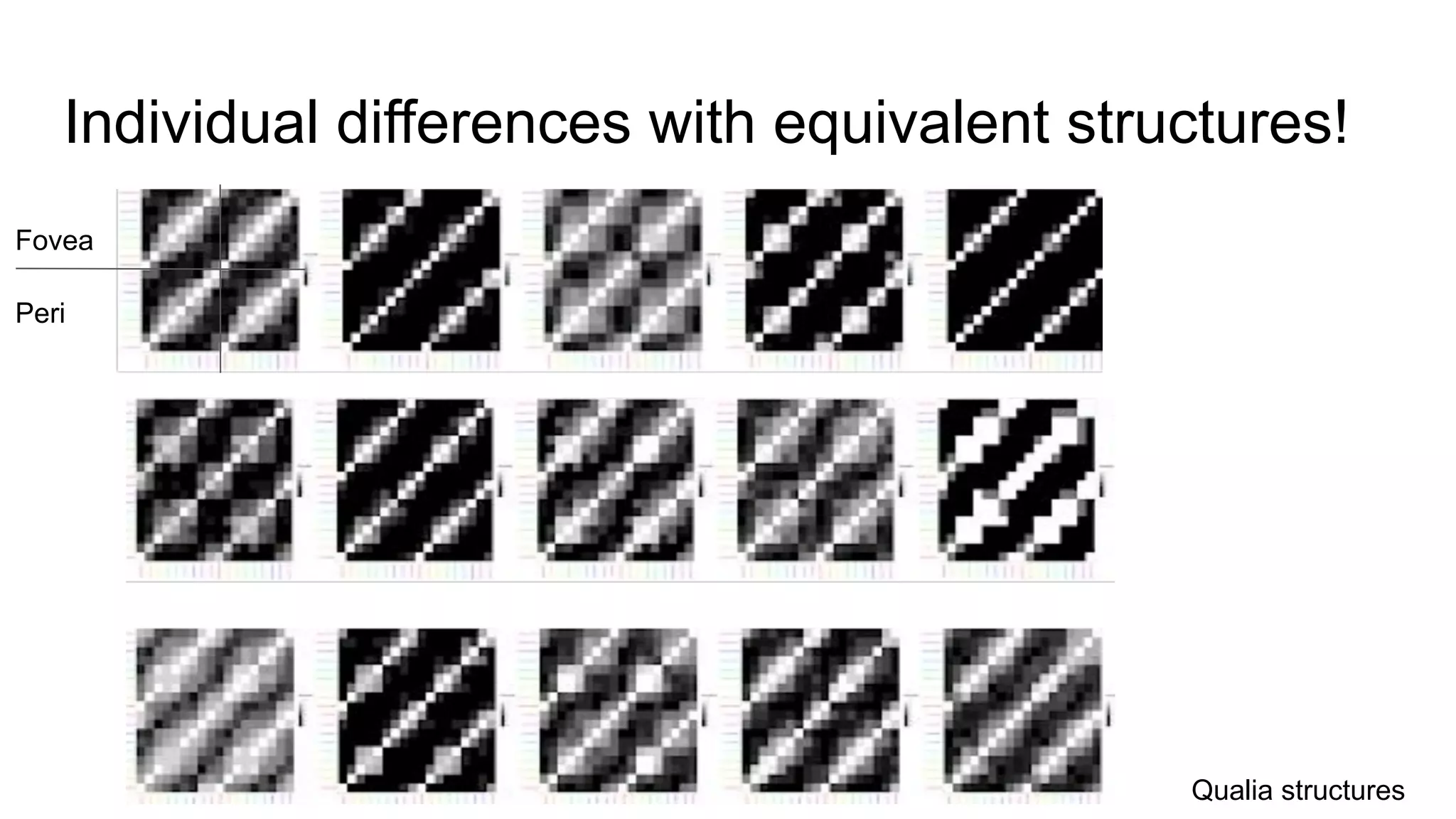 Individual differences with equivalent structures!
Fovea
Peri
Qualia structures
 