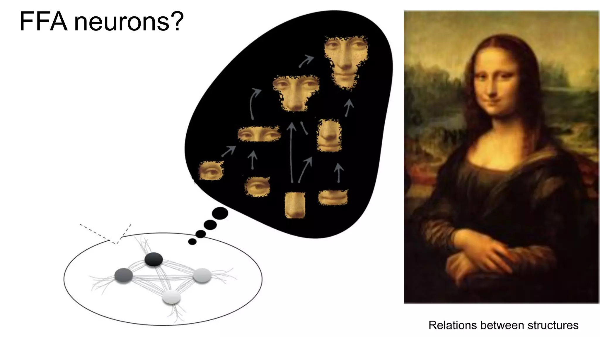 FFA neurons?
Relations between structures
 