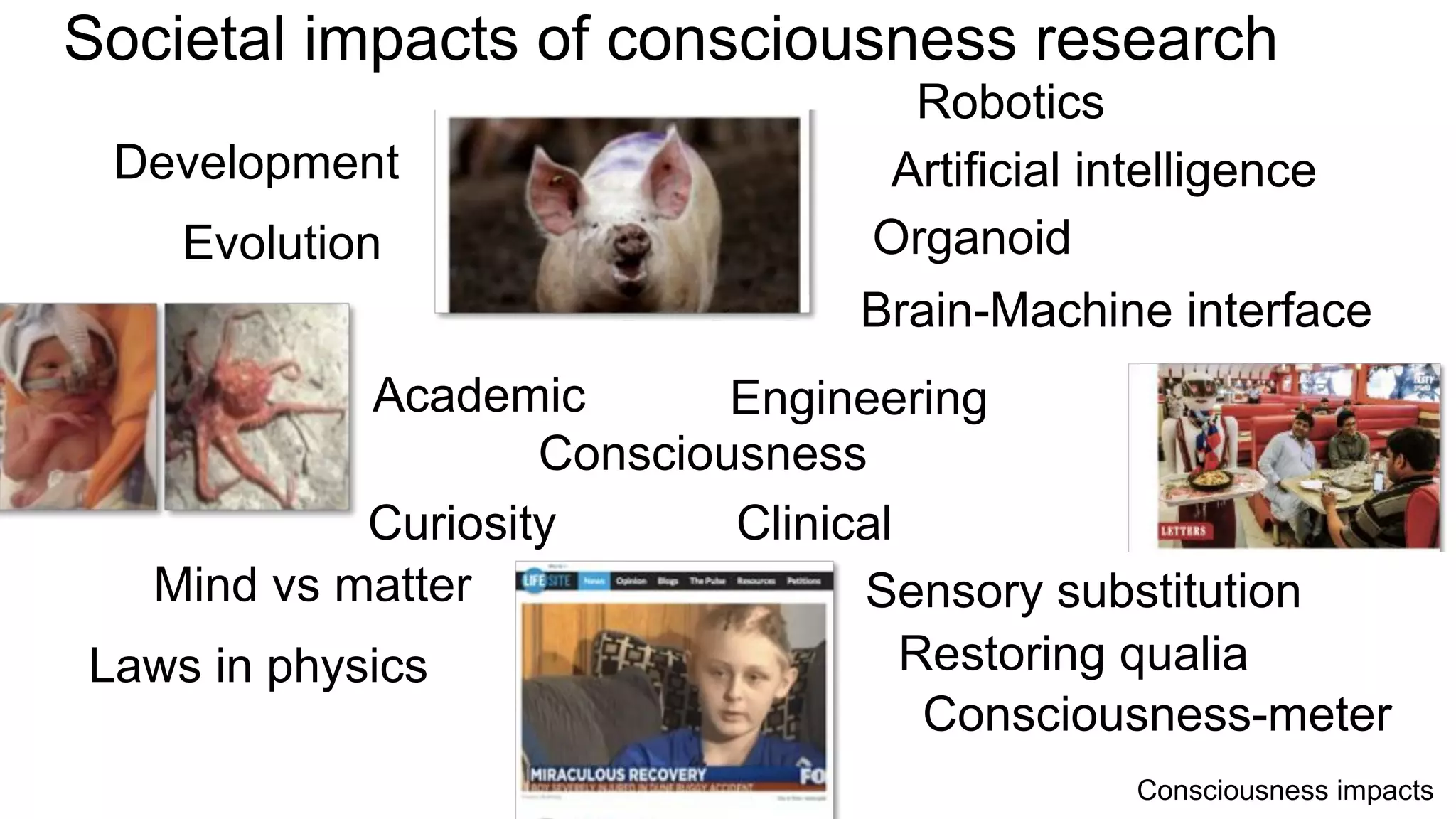 Consciousness
Clinical
EngineeringAcademic
Curiosity
Artificial intelligence
Robotics
Brain-Machine interface
Consciousness-meter
Restoring qualia
Sensory substitutionMind vs matter
Laws in physics
Development
Evolution Organoid
Societal impacts of consciousness research
Consciousness impacts
 
