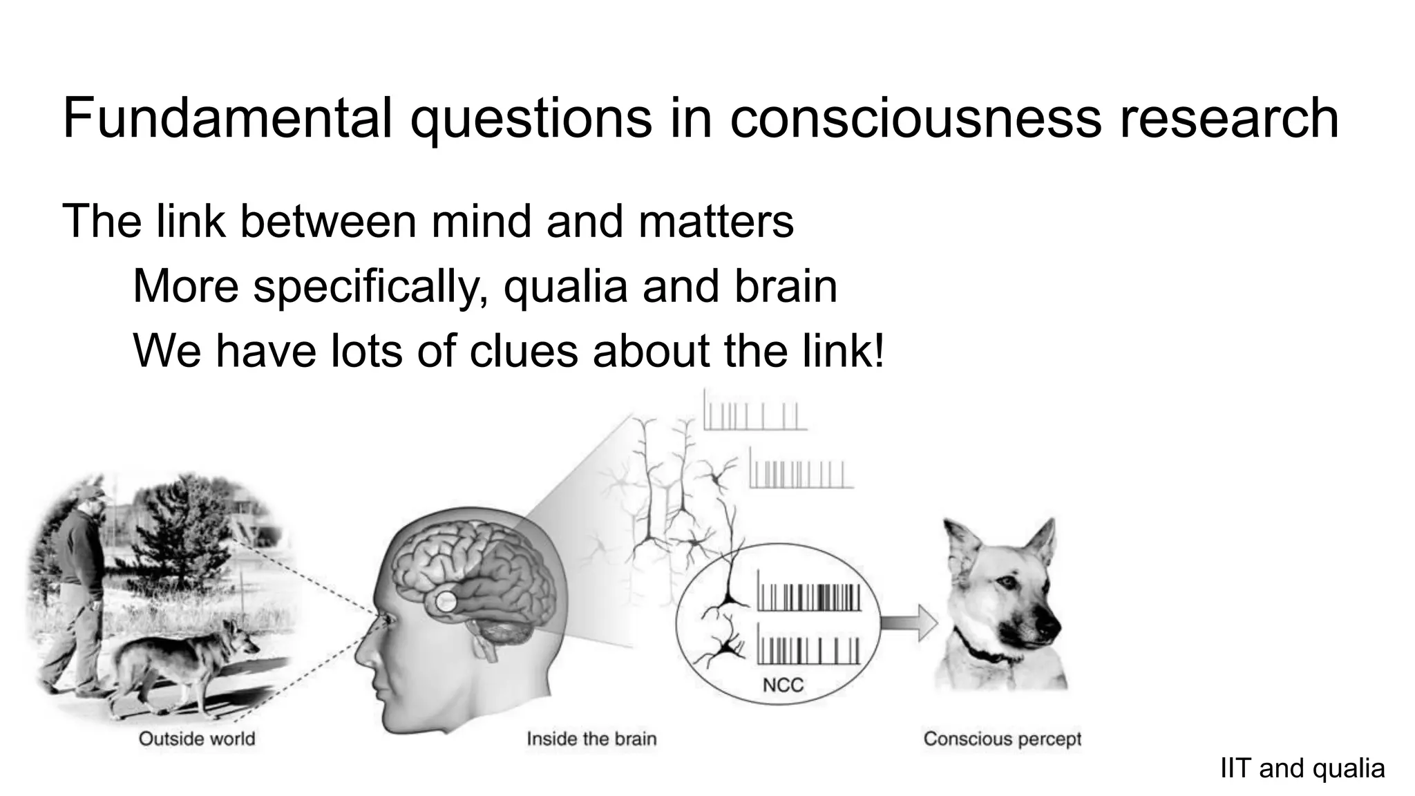 Fundamental questions in consciousness research
The link between mind and matters
More specifically, qualia and brain
We have lots of clues about the link!
IIT and qualia
 