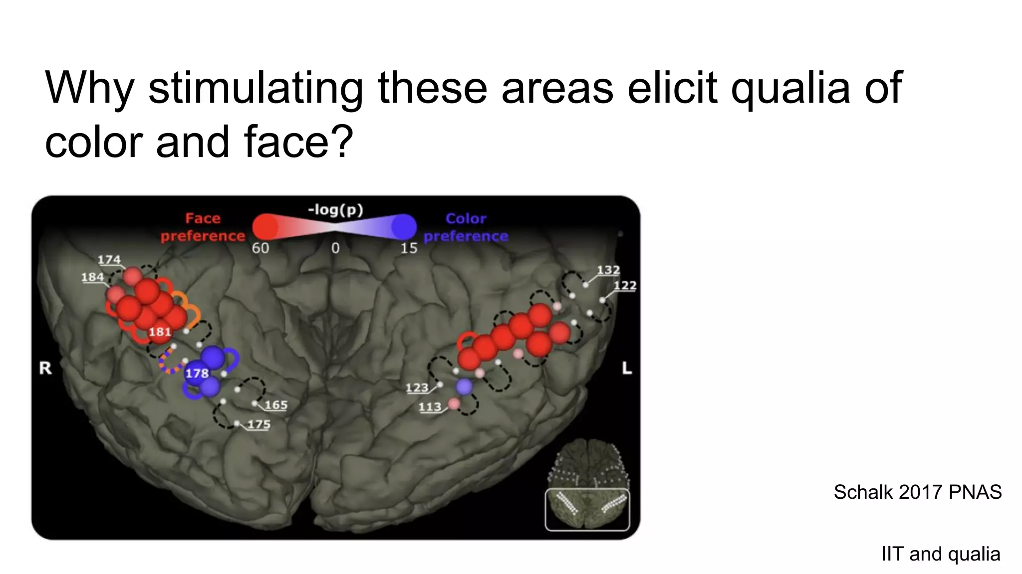 Why stimulating these areas elicit qualia of
color and face?
Schalk 2017 PNAS
IIT and qualia
 