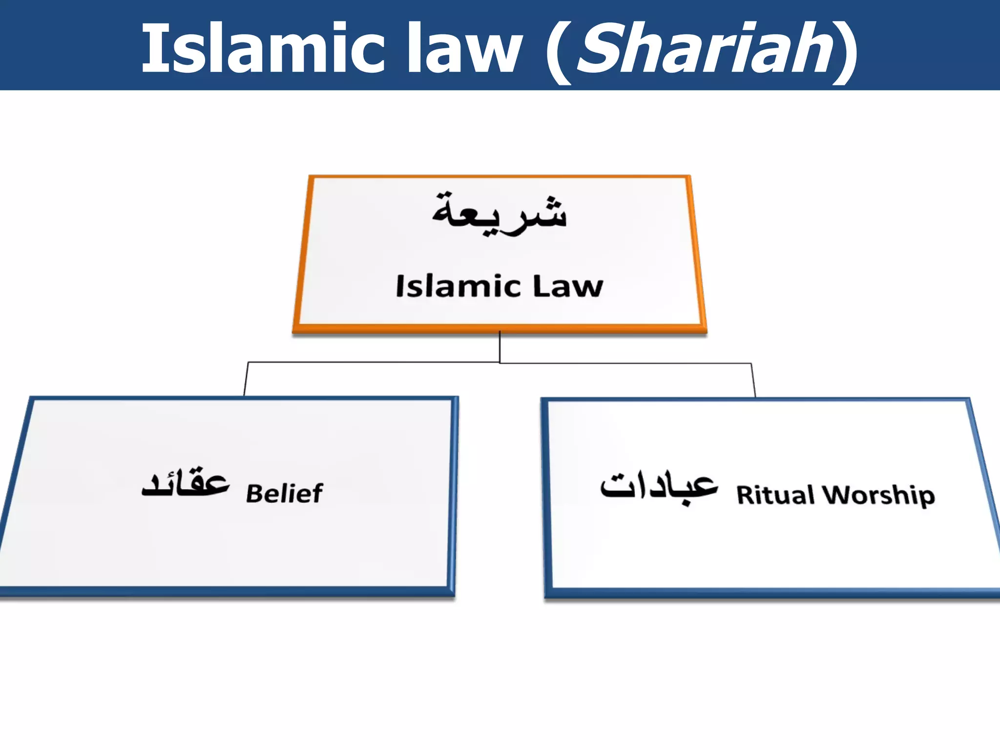 Islamic law ( Shariah ) 