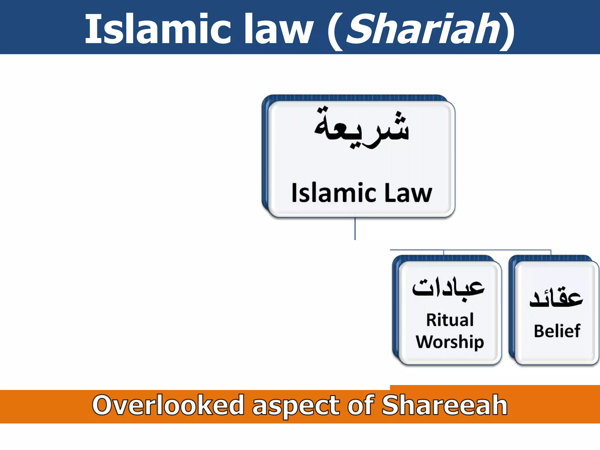 Islamic law ( Shariah ) 