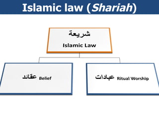 Islamic law ( Shariah ) 