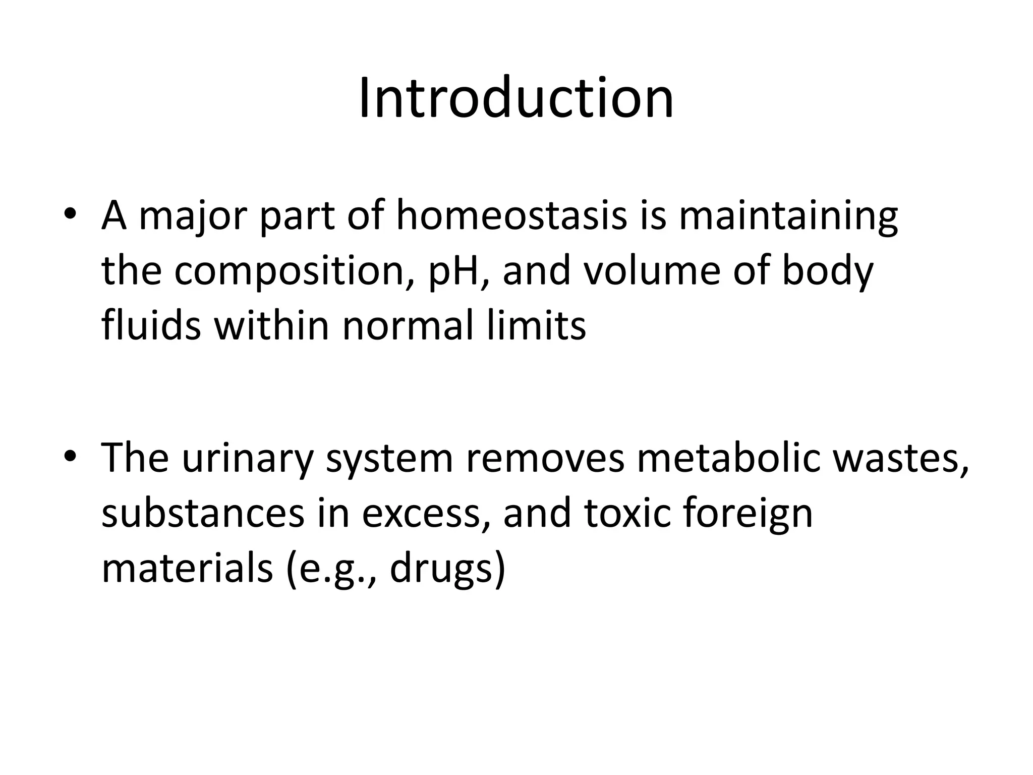 week-13-urinary-system-student-version-pptx